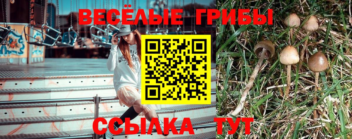 Углич  Псилоцибиновые грибы Cubensis  Вход с VPN 